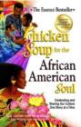 Image for Chicken Soup for the African American Soul