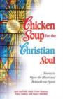 Image for Chicken Soup for the Christian Soul : Stories to Open the Heart and Rekindle the Spirit