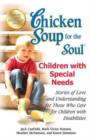 Image for Chicken Soup for the Soul: Children with Special Needs : Stories of Love and Understanding for Those Who Care for Children with Disabilities