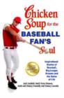 Image for Chicken Soup for the Baseball Fan&#39;s Soul : Inspirational Stories of Baseball, Big-League Dreams and the Game of Life