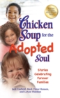 Image for Chicken Soup for the Adopted Soul