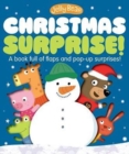 Image for Jelly Bear Christmas Surprise