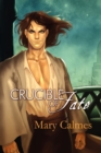 Image for Crucible of Fate Volume 4