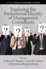 Image for Exploring the Professional Identity of Management Consultants