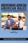 Image for Mentoring African American Males