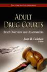 Image for Adult drug courts  : brief overview &amp; assessments