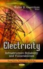 Image for Electricity  : infrastructure reliability &amp; vulnerabilities