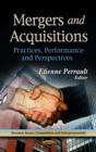 Image for Mergers and acquisitions  : practices, performance and perspectives