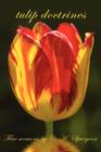 Image for tulip doctrines