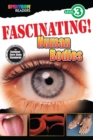 Image for Fascinating! Human Bodies: Level 3