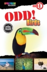 Image for Odd! Birds: Level 1