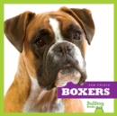 Image for Boxers