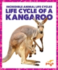 Image for Life cycle of a kangaroo