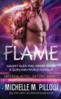 Image for Flame : A Qurilixen World Novella