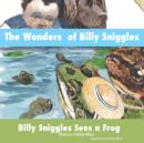 Image for The Wonders of Billy Sniggles : Billy Sniggles Sees a Frog
