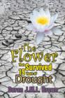 Image for The Flower That Survived 19 Years of Drought