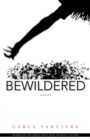 Image for Bewildered : Stories