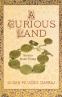 Image for A Curious Land
