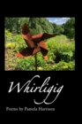 Image for Whirligig