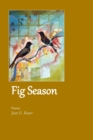 Image for Fig Season