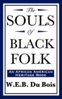 Image for The Souls of Black Folk