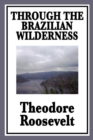 Image for Through the Brazilian wilderness