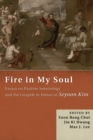 Image for Fire in My Soul : Essays on Pauline Soteriology and the Gospels in Honor of Seyoon Kim