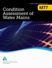 Image for M77 Condition Assessment of Water Mains