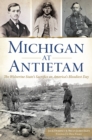 Image for Michigan at Antietam
