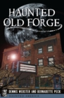 Image for Haunted Old Forge