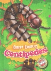 Image for Centipedes