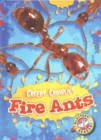 Image for Fire Ants