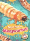 Image for Mealworms