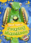 Image for Praying Mantises