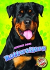 Image for Rottweilers
