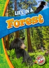 Image for Life in a Forest