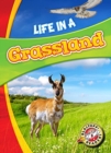 Image for Life in a Grassland