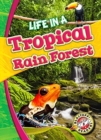 Image for Life in a Tropical Rain Forest