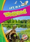 Image for Life in a Wetland