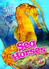 Image for Sea Horses