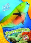 Image for Parrotfish