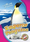 Image for Emperor penguins