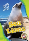 Image for Sea Lions