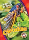 Image for Cicadas