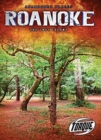 Image for Roanoke  : the Lost Colony