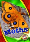 Image for Moths