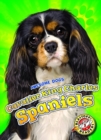 Image for Cavalier King Charles Spaniels
