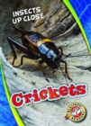 Image for Crickets