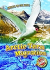 Image for Arctic Tern Migration