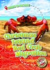 Image for Christmas Island Red Crab Migration